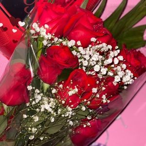 Meet your Posher, Bella